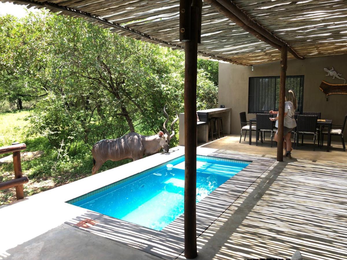 Kruger Willows Marloth Park Bagian luar foto